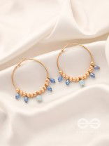 The Sun Shower- Golden Embellished  Earrings