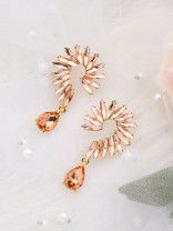 The Bellissimo Collection Embellished Fern Earrings - Amber