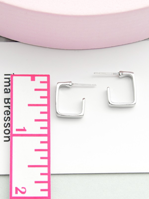 Hooked on Charm- Silver Earrings