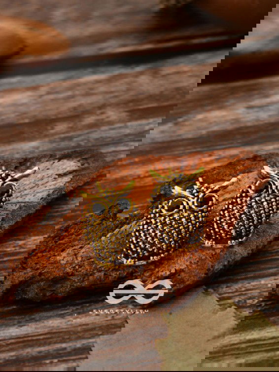 The Oxidised Owl Tiny Trinket Earrings - Golden