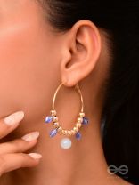The Sun Shower- Golden Embellished  Earrings