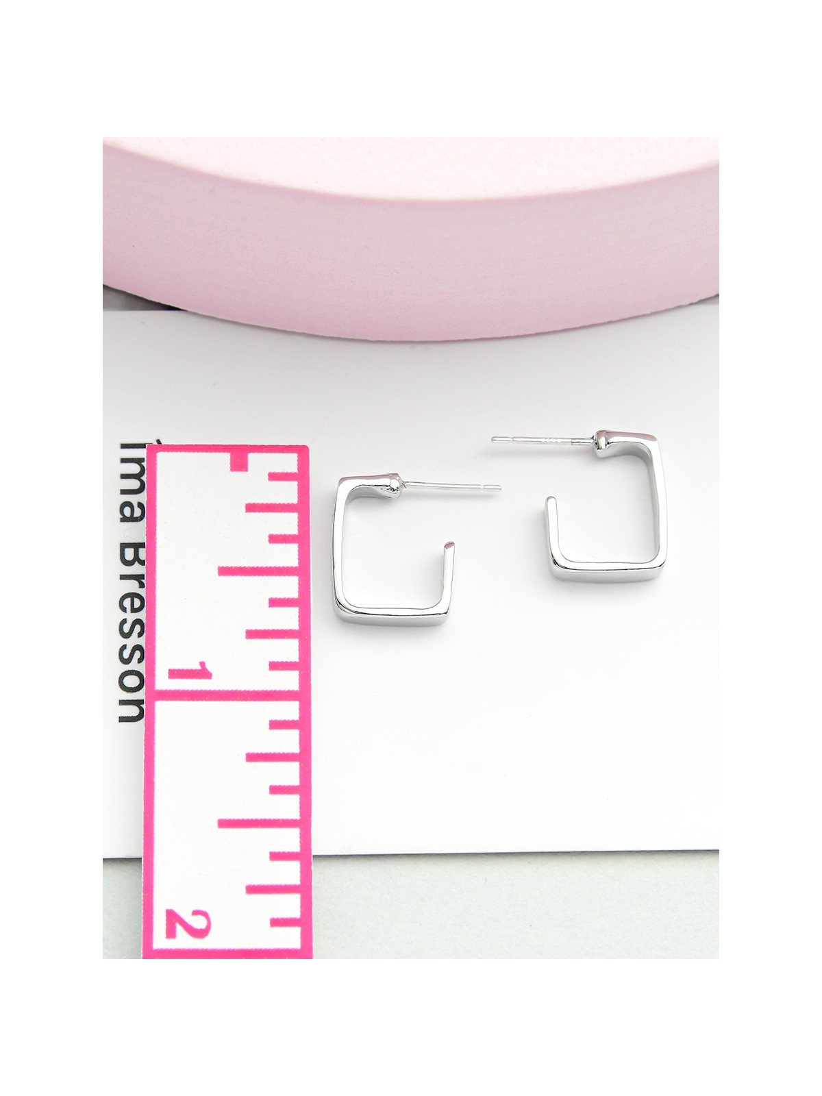 Hooked on Charm- Silver Earrings